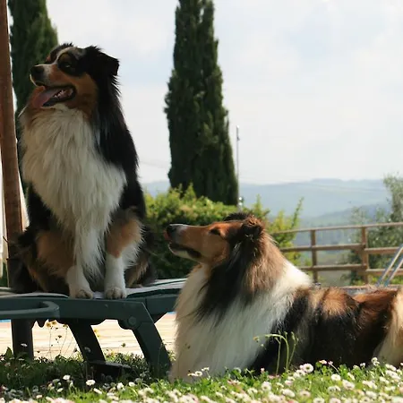 Agriturismo Il Torrione * Lecchi